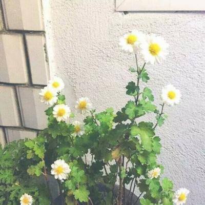 水浒群侠传手游下载